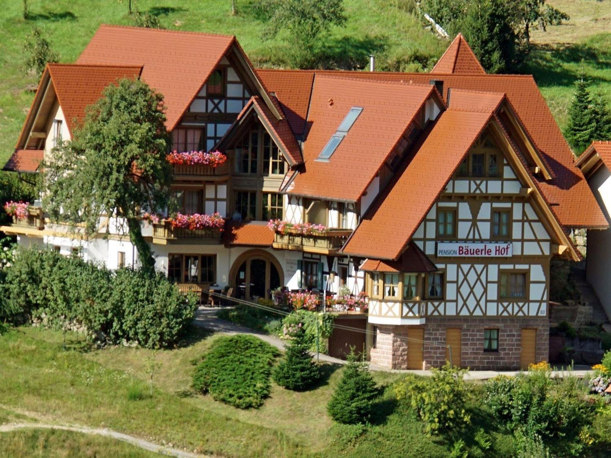 Baeuerlehof Hotel Seebach Eksteriør billede